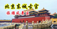 男人把鸡巴捅进女人的屁股的视频中国北京-东城古宫旅游风景区